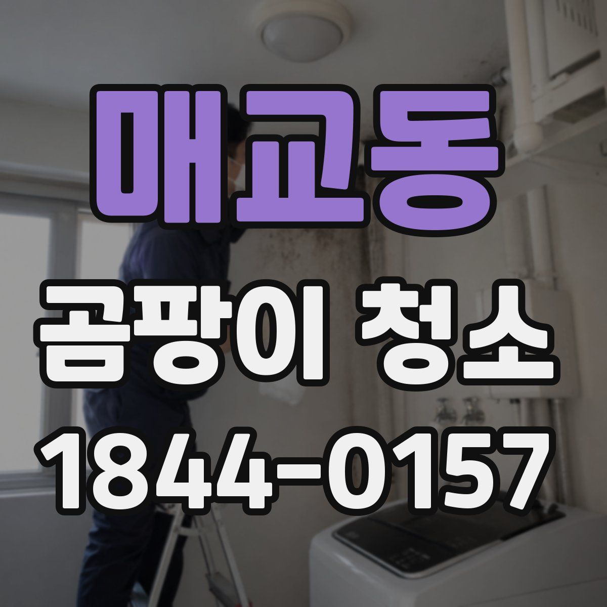 매교동 곰팡이 청소