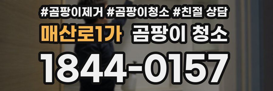 매산로1가 곰팡이 청소
