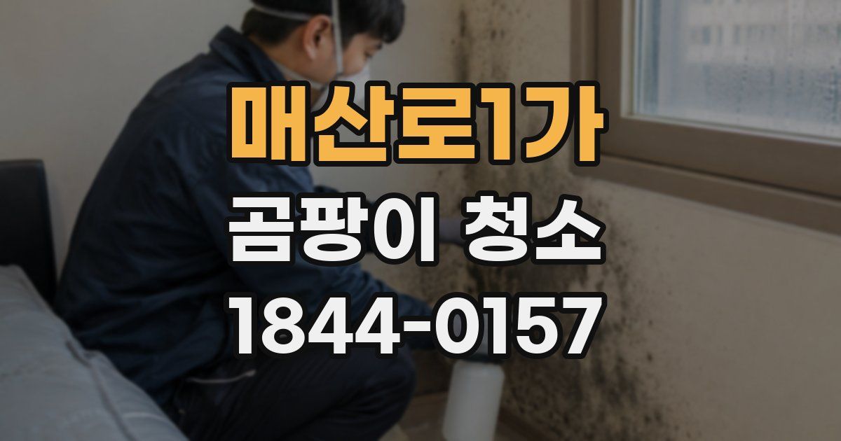 매산로1가 곰팡이 청소