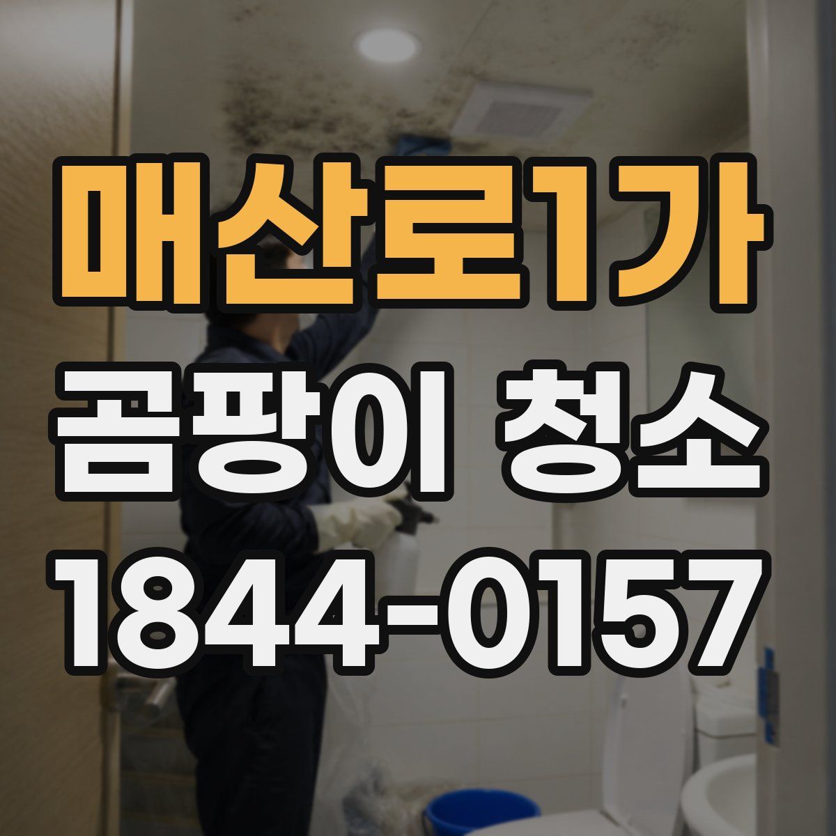 매산로1가 곰팡이 청소