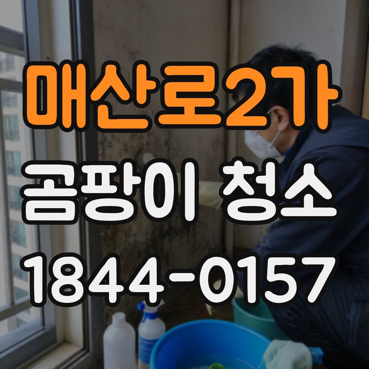 매산로2가 곰팡이 청소