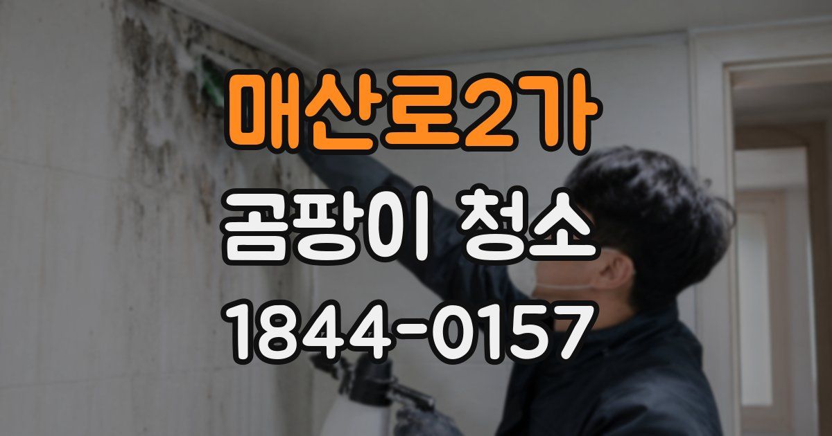 매산로2가 곰팡이 청소