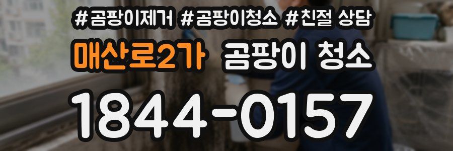 매산로2가 곰팡이 청소