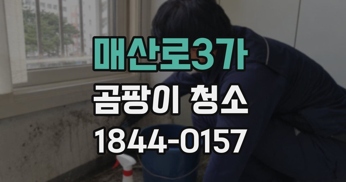 매산로3가 곰팡이 청소