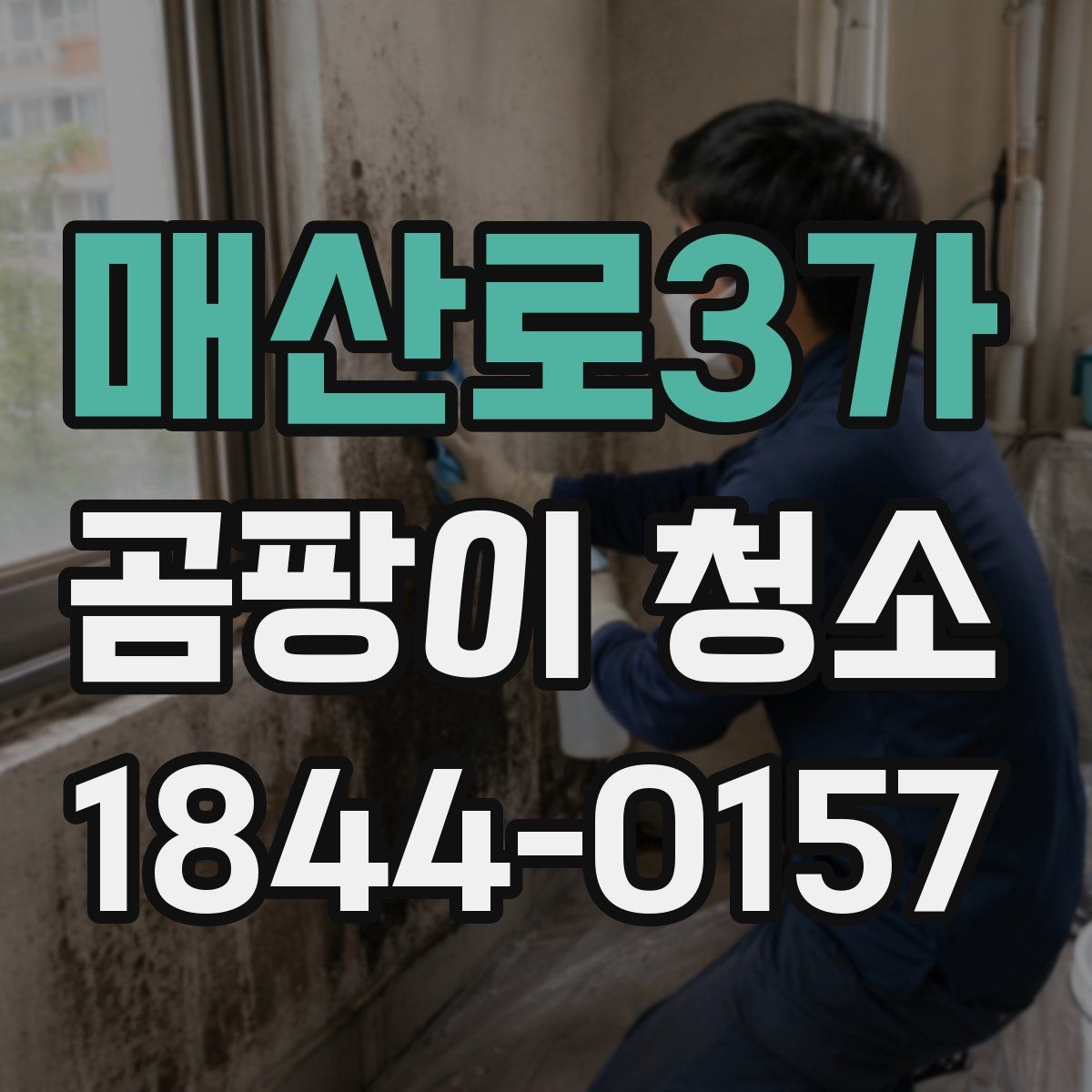 매산로3가 곰팡이 청소