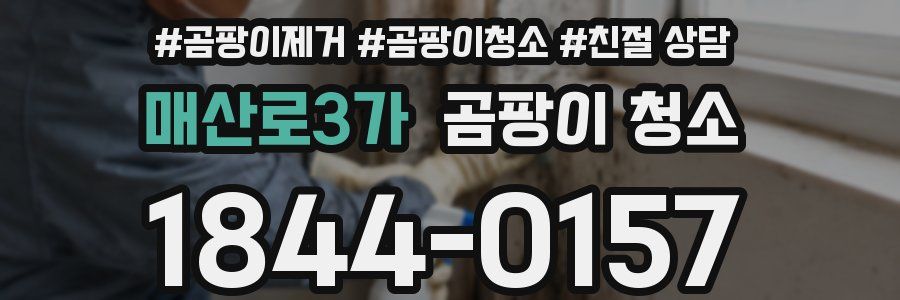 매산로3가 곰팡이 청소