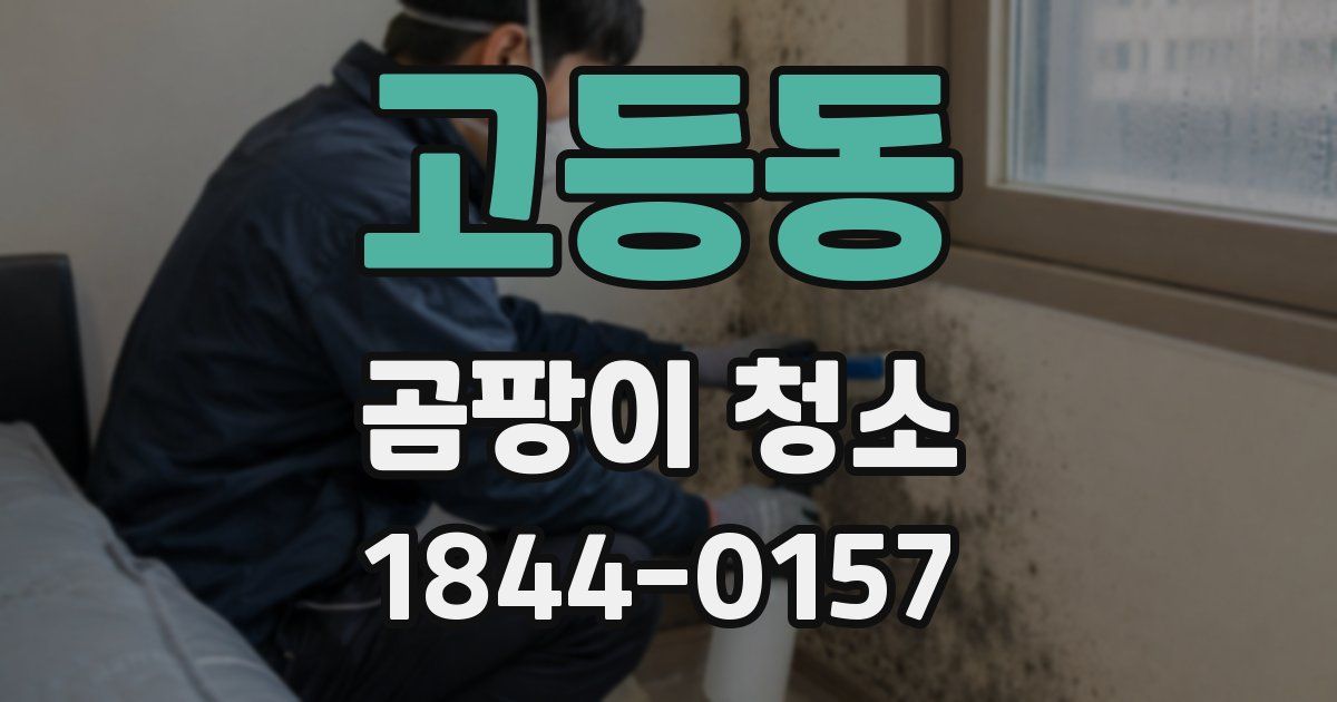 고등동 곰팡이 청소