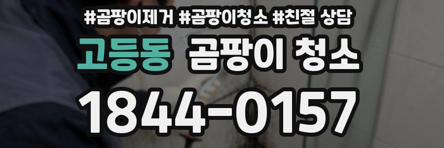고등동 곰팡이 청소