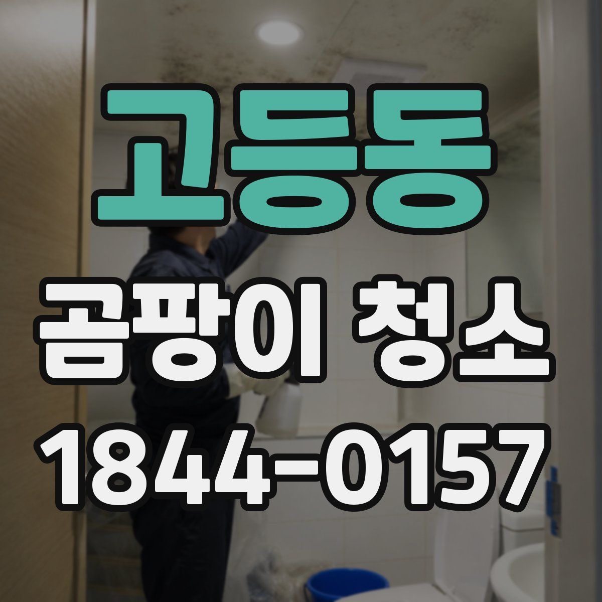 고등동 곰팡이 청소
