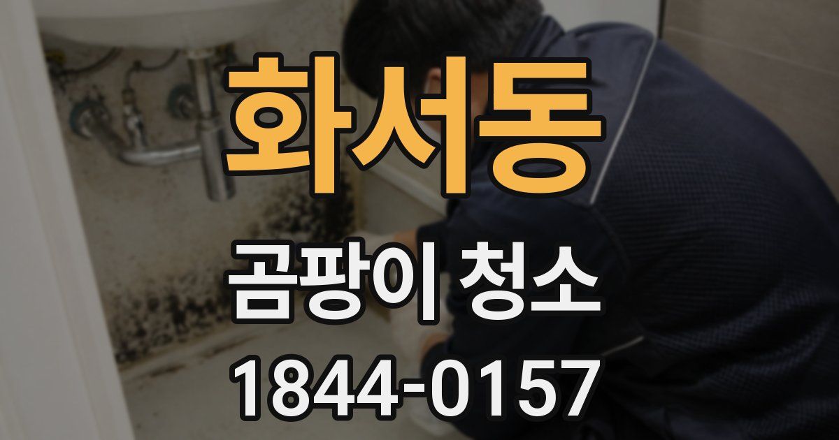 화서동 곰팡이 청소