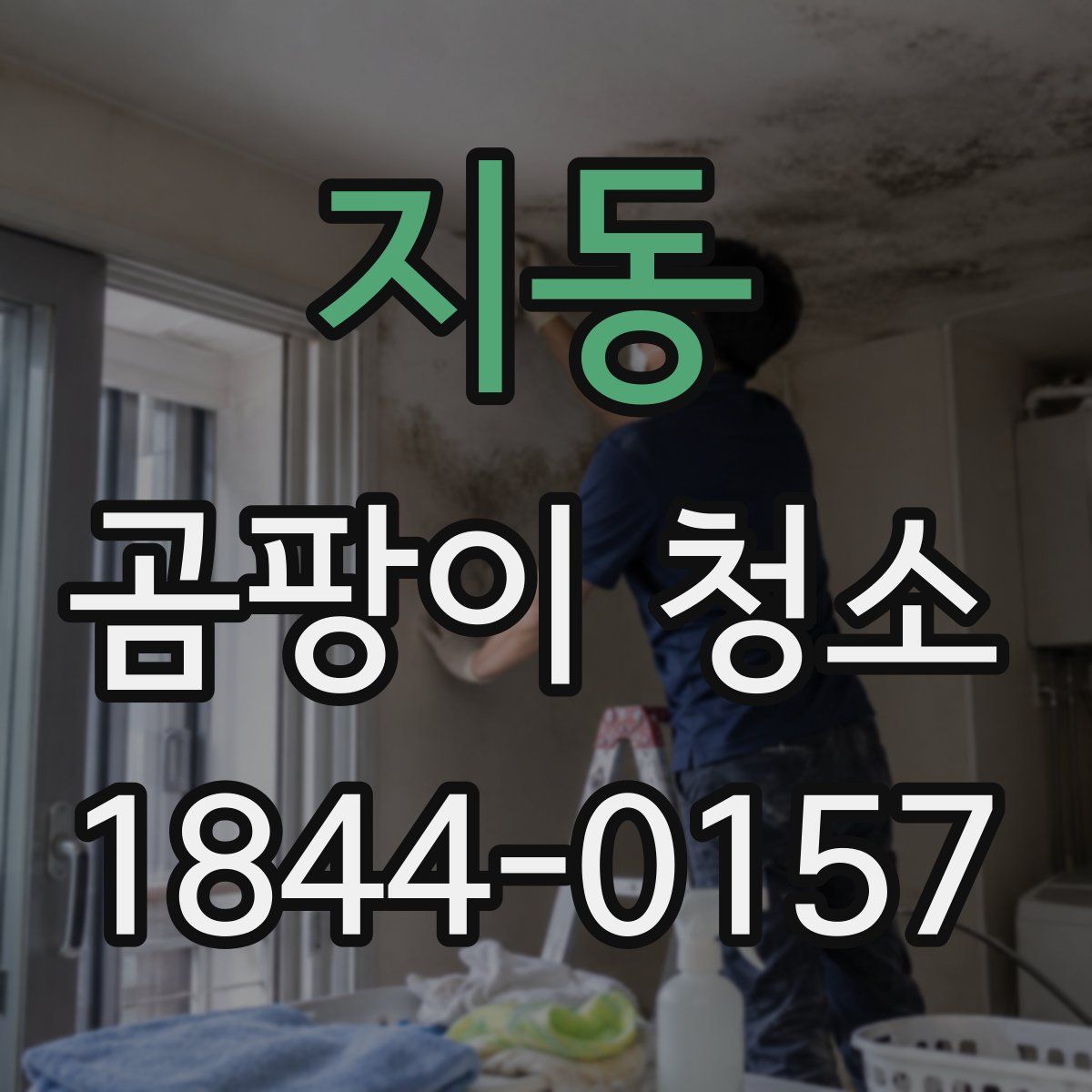 지동 곰팡이 청소