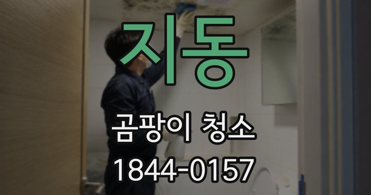 지동 곰팡이 청소