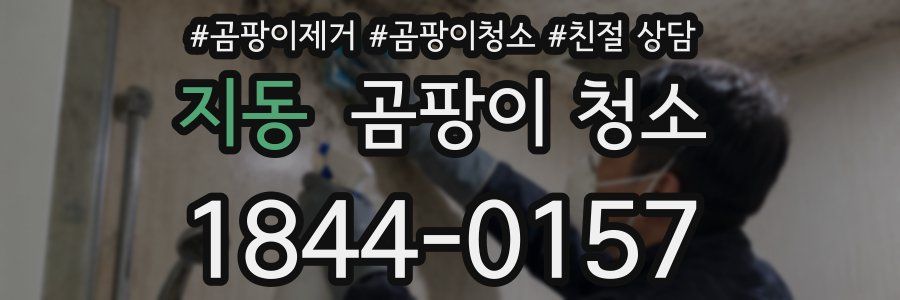 지동 곰팡이 청소