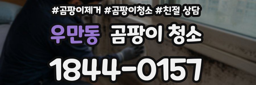 우만동 곰팡이 청소