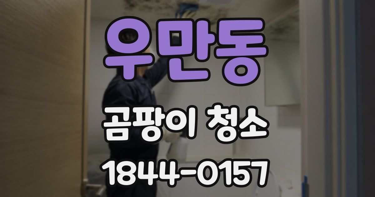 우만동 곰팡이 청소