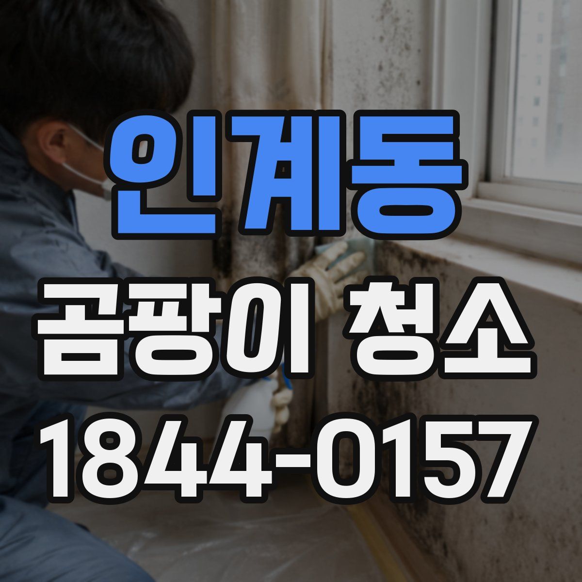 인계동 곰팡이 청소