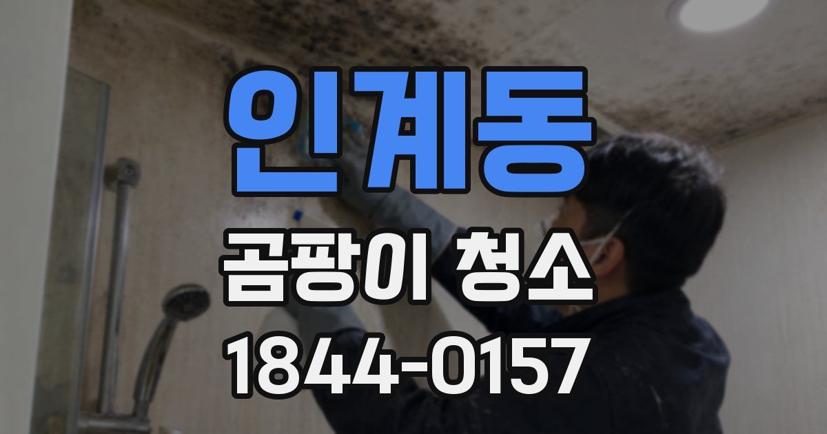인계동 곰팡이 청소