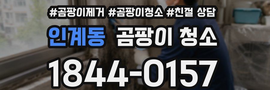 인계동 곰팡이 청소