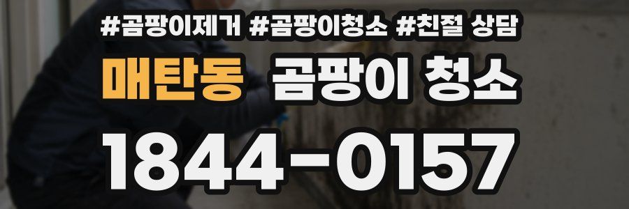매탄동 곰팡이 청소