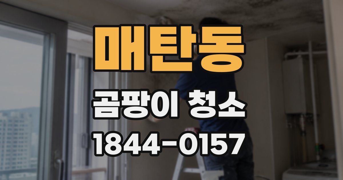 매탄동 곰팡이 청소