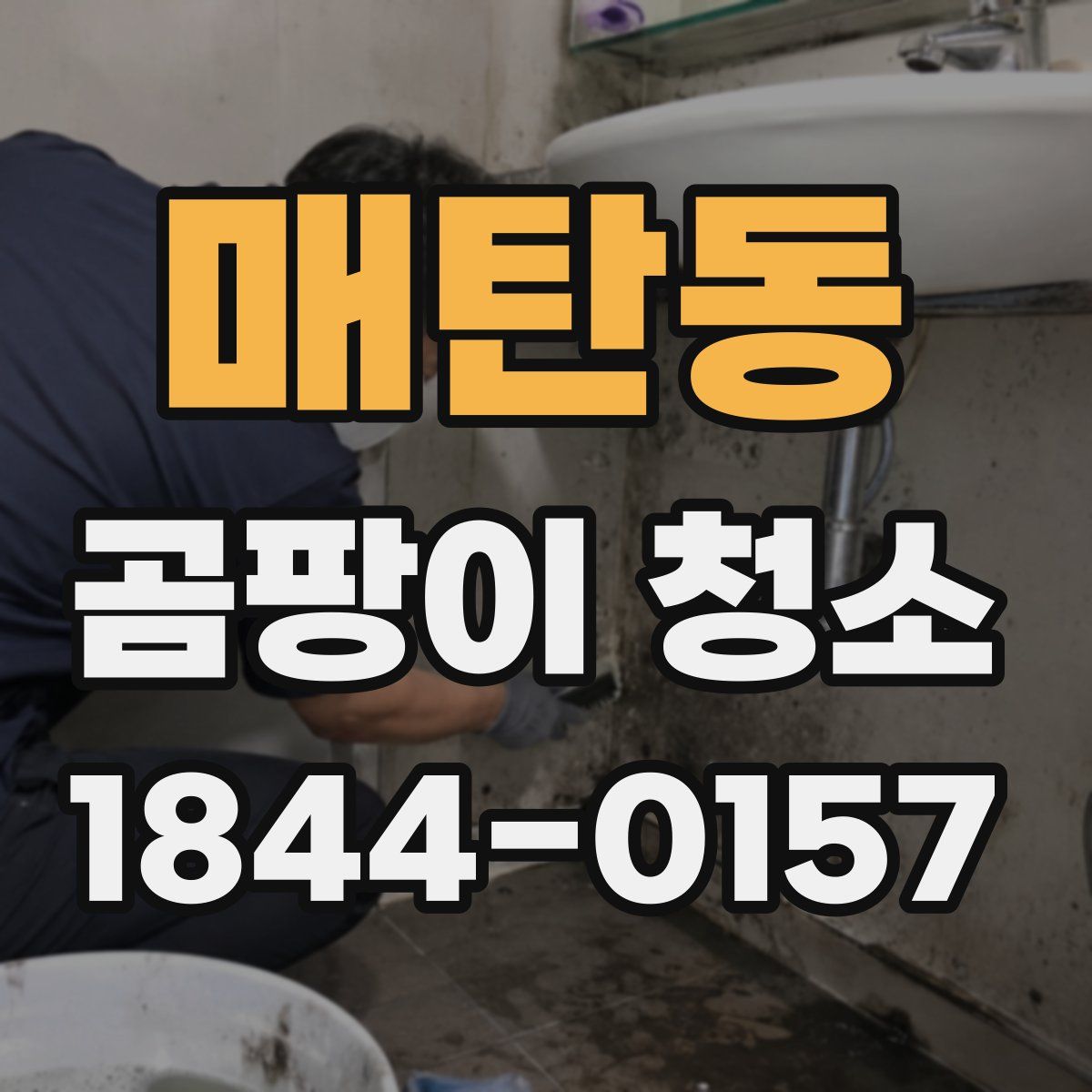 매탄동 곰팡이 청소