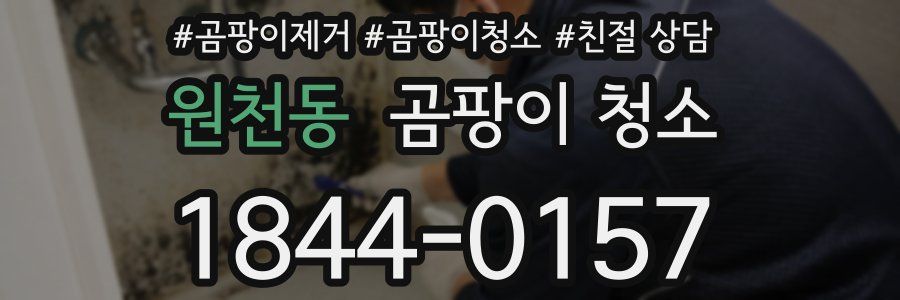 원천동 곰팡이 청소
