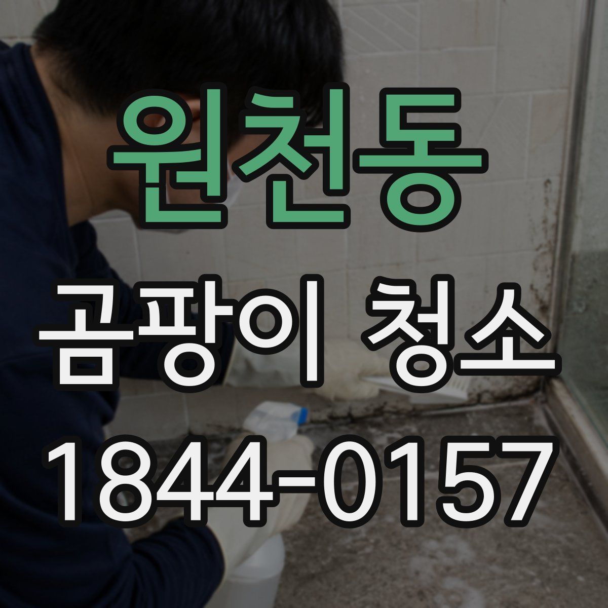 원천동 곰팡이 청소