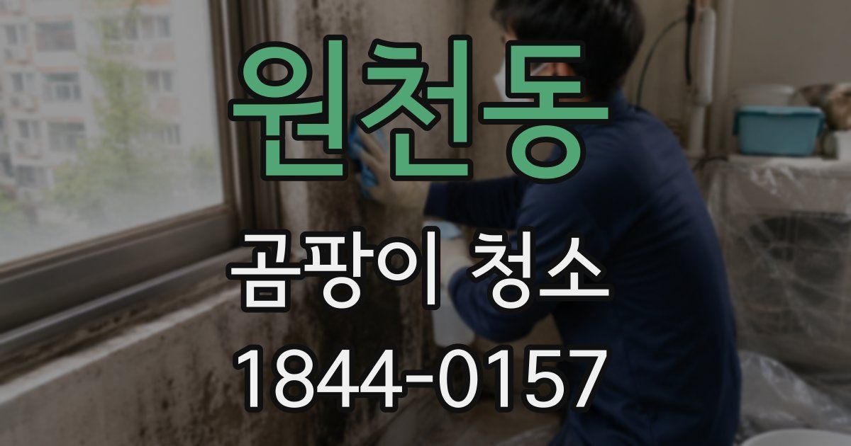 원천동 곰팡이 청소