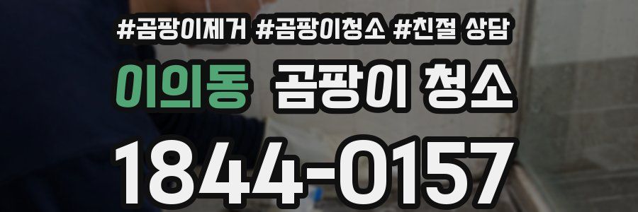 이의동 곰팡이 청소