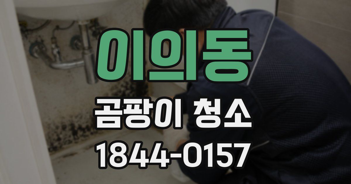이의동 곰팡이 청소