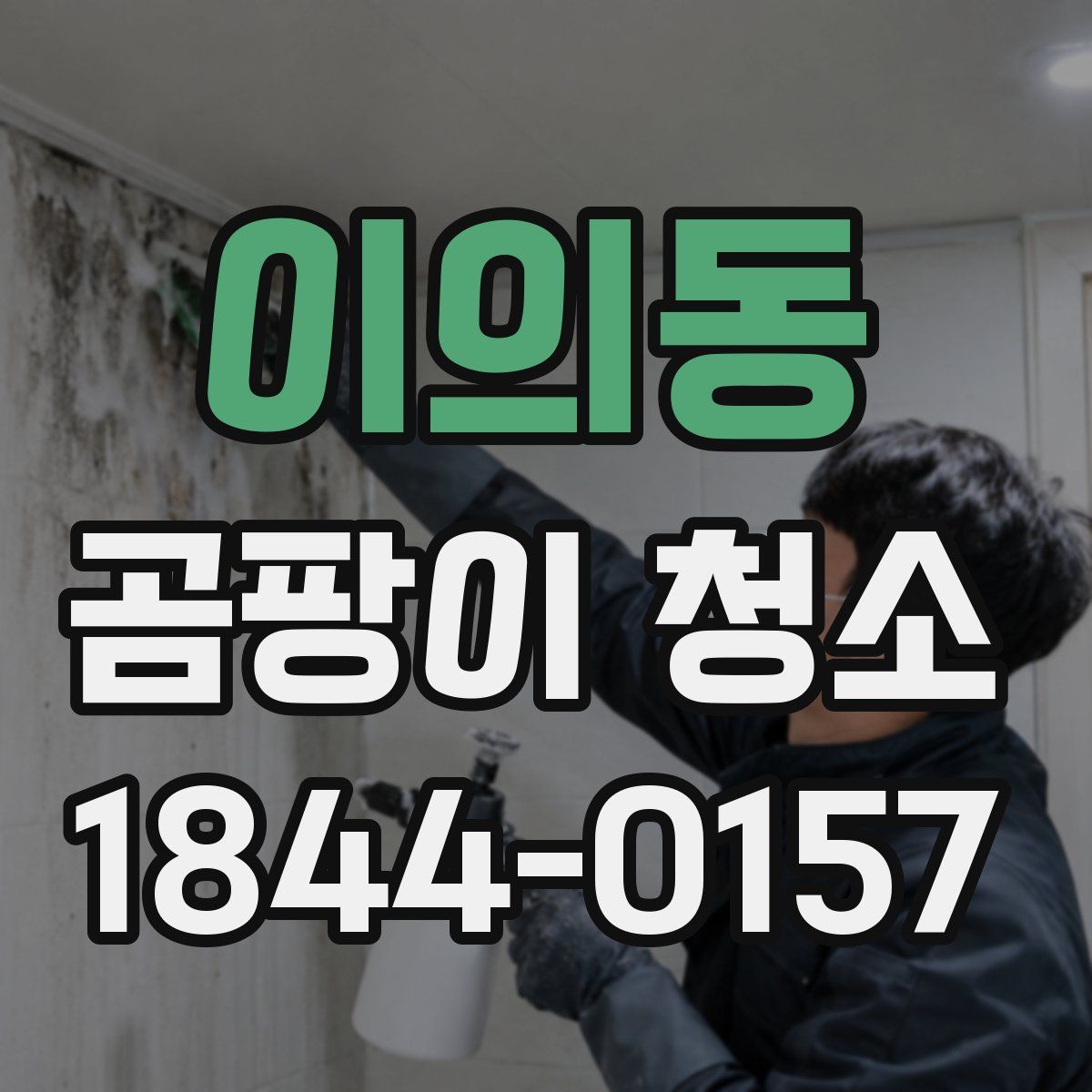 이의동 곰팡이 청소