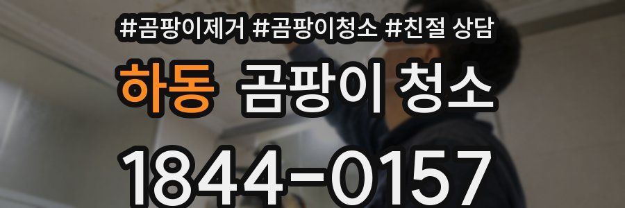 하동 곰팡이 청소