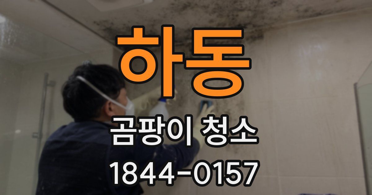 하동 곰팡이 청소