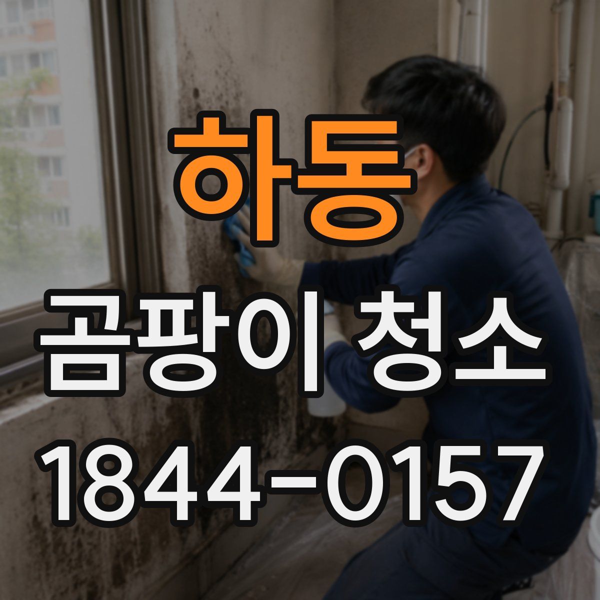 하동 곰팡이 청소