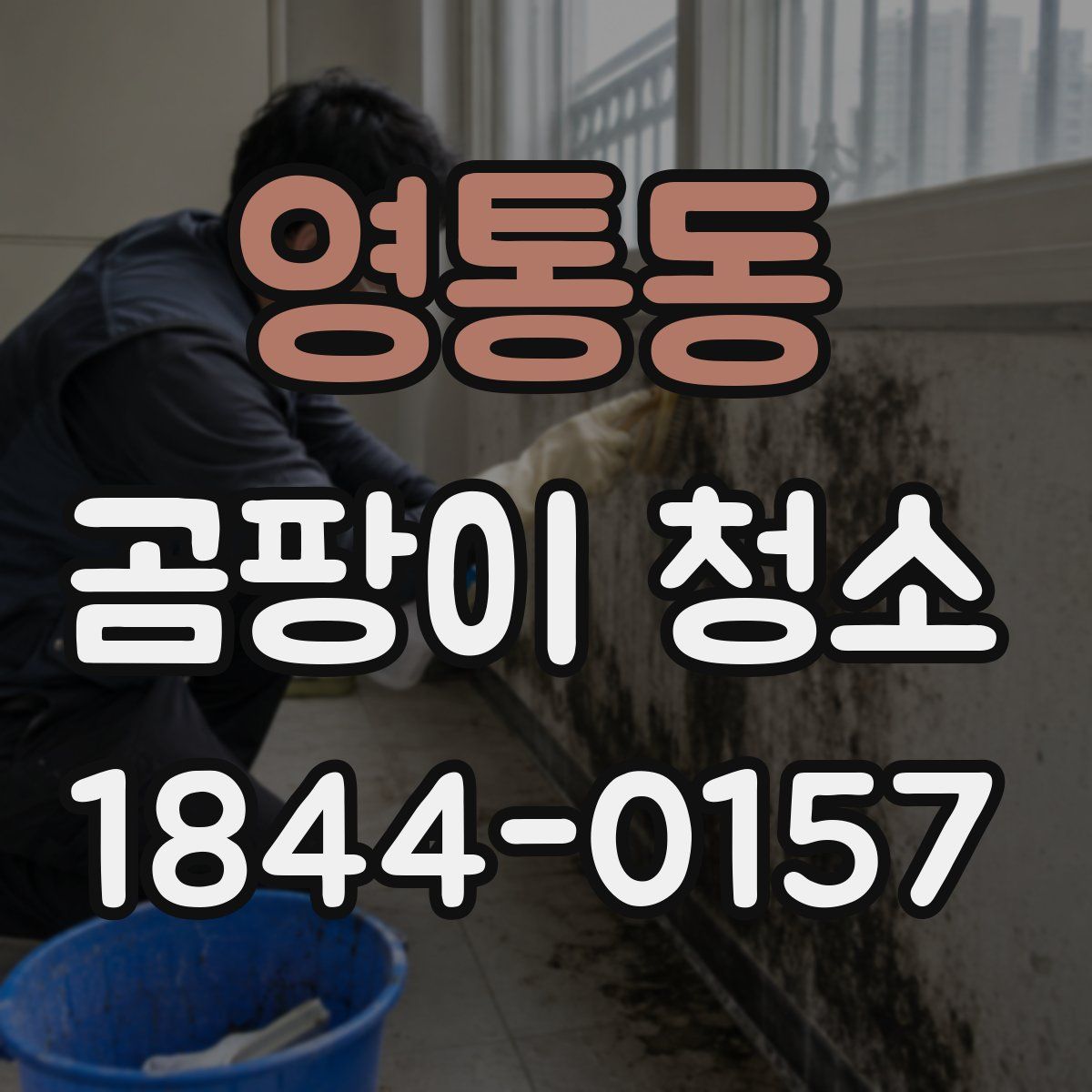 영통동 곰팡이 청소