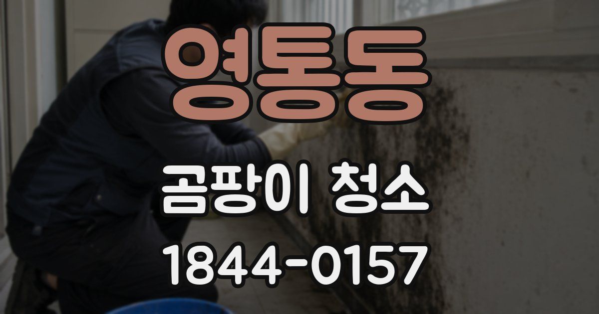 영통동 곰팡이 청소