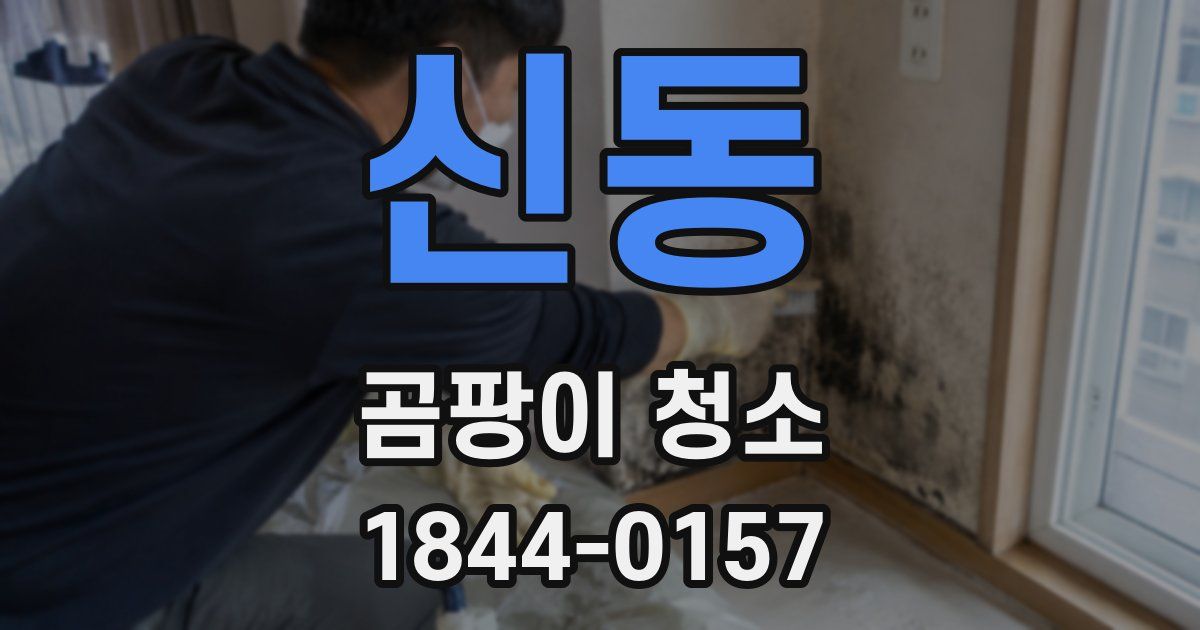 신동 곰팡이 청소