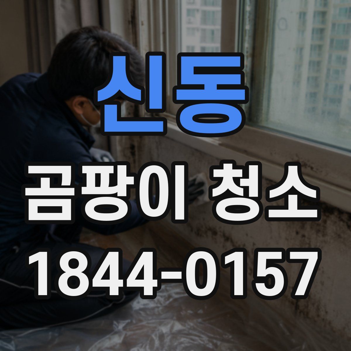 신동 곰팡이 청소