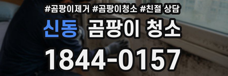 신동 곰팡이 청소