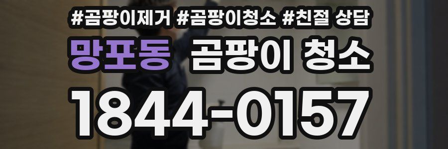 망포동 곰팡이 청소
