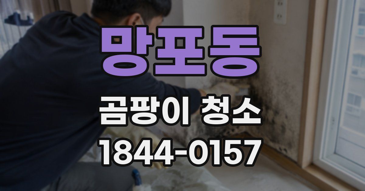 망포동 곰팡이 청소