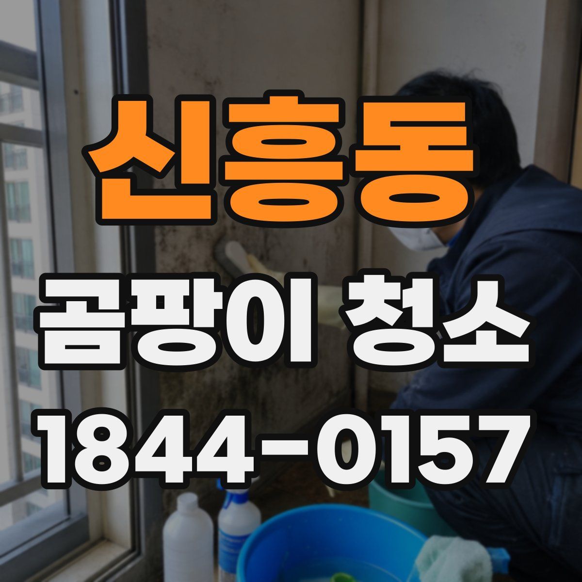 신흥동 곰팡이 청소