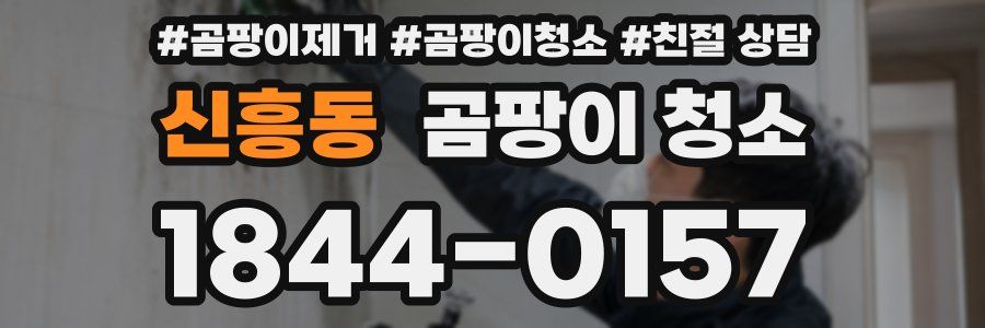 신흥동 곰팡이 청소