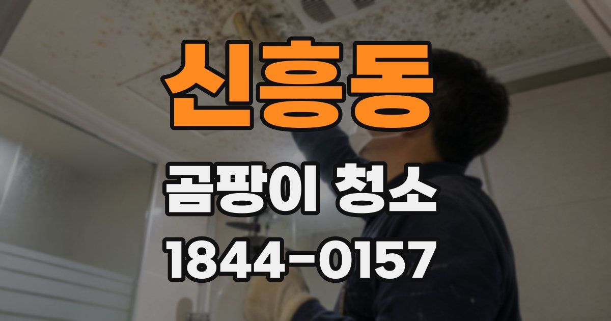 신흥동 곰팡이 청소