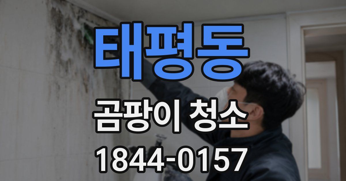 태평동 곰팡이 청소