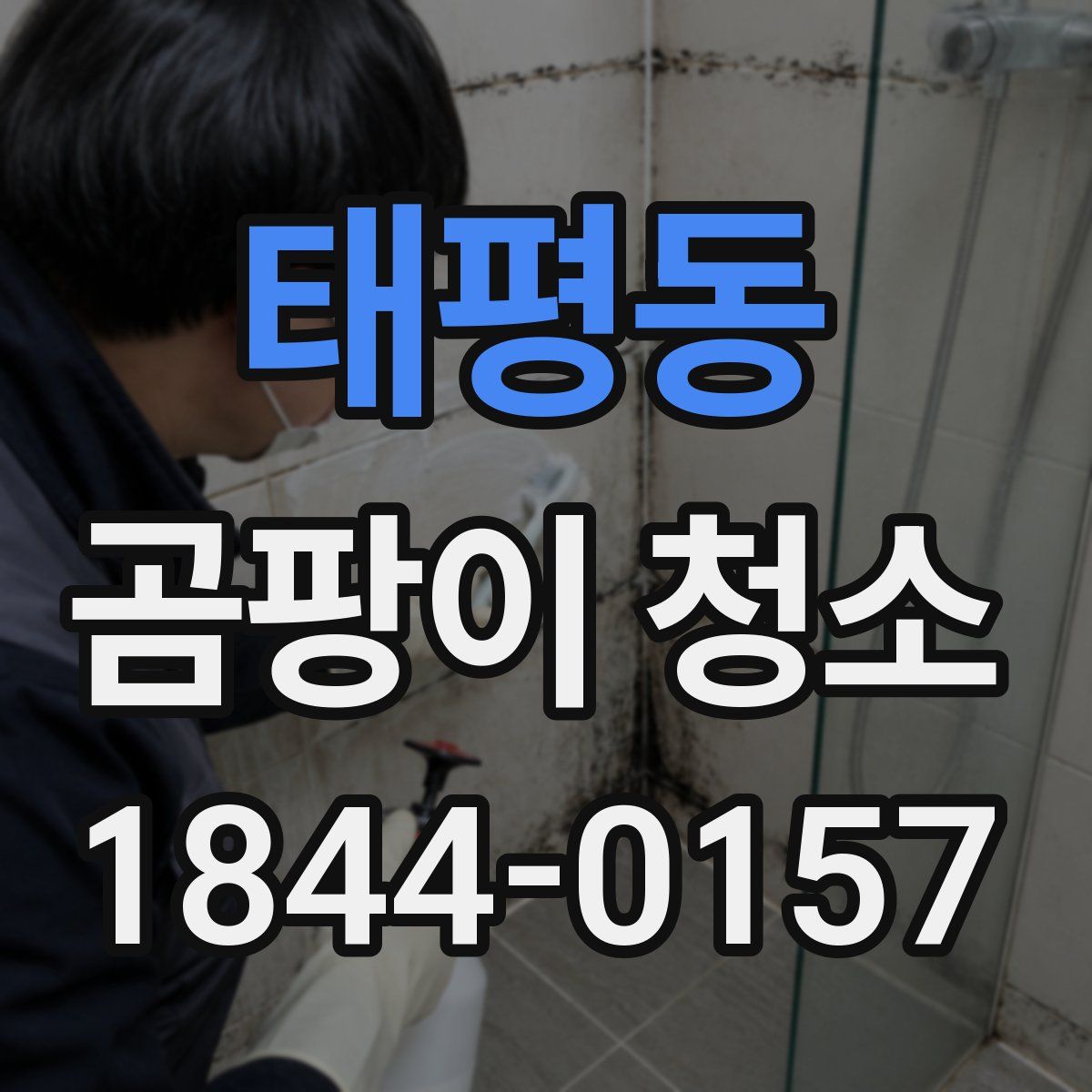 태평동 곰팡이 청소