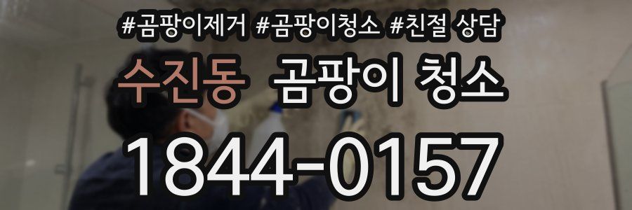 수진동 곰팡이 청소