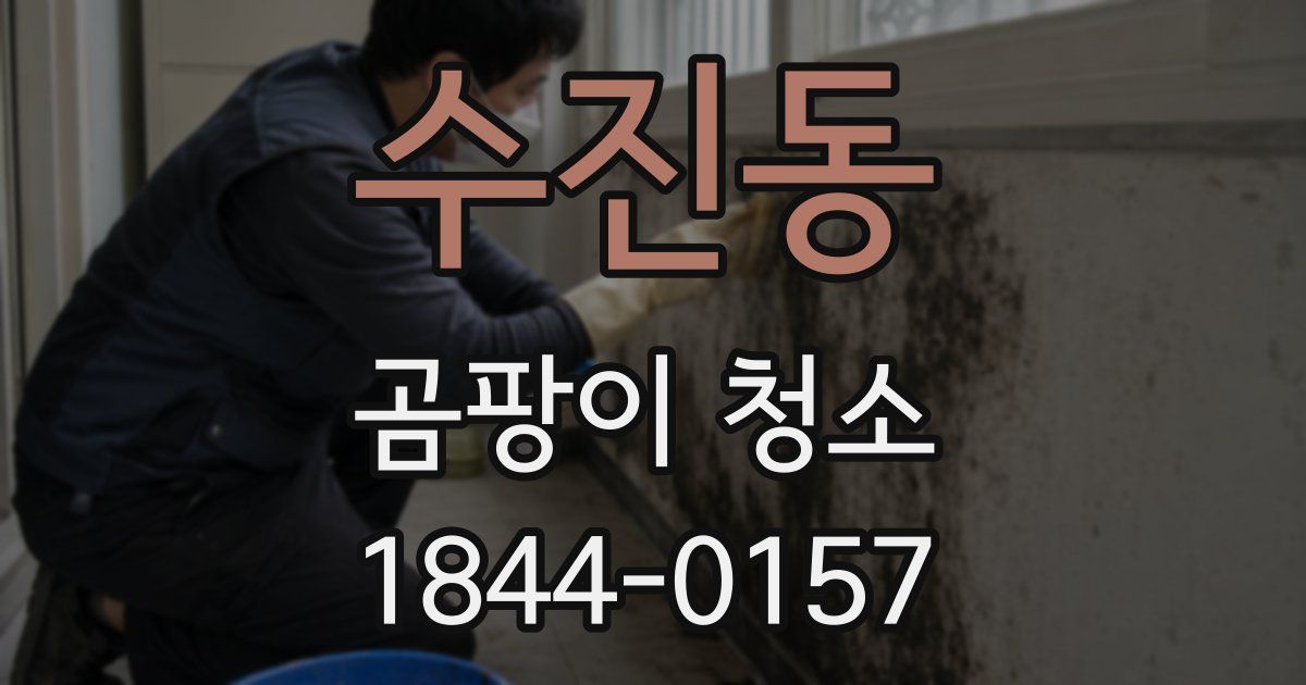 수진동 곰팡이 청소