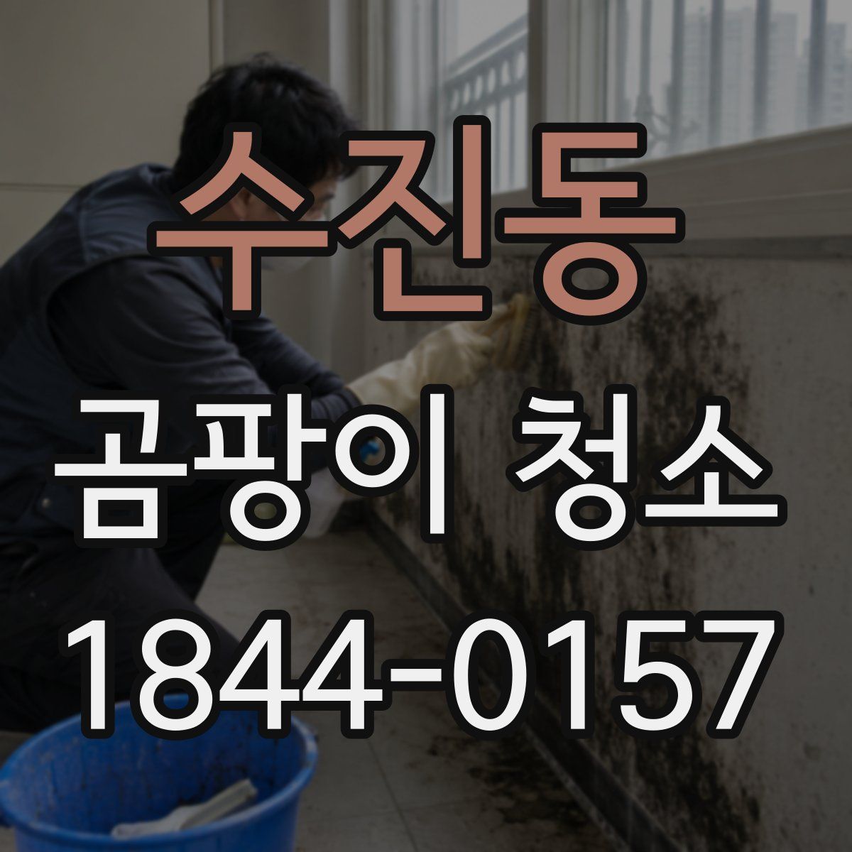 수진동 곰팡이 청소
