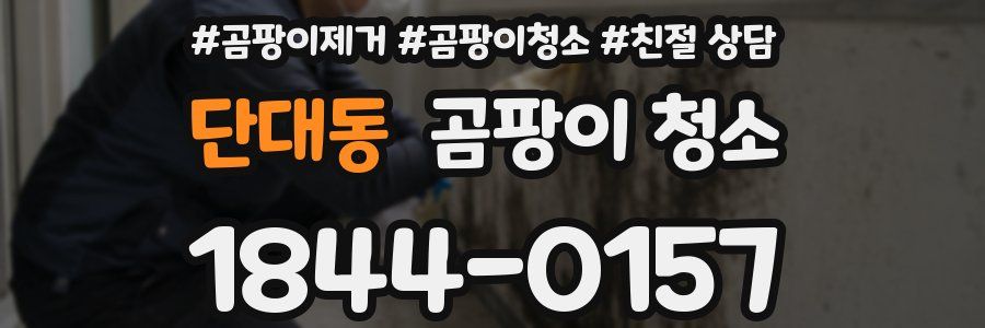 단대동 곰팡이 청소